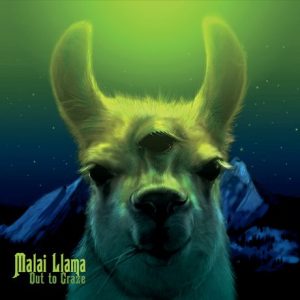 The Malai Llama "Out to Graze" Album Cover