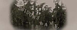 Widows Bane Band