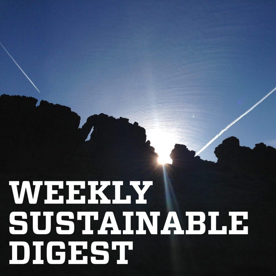 Episode 13: Robert Griffin-Nolan on Grassland Droughts