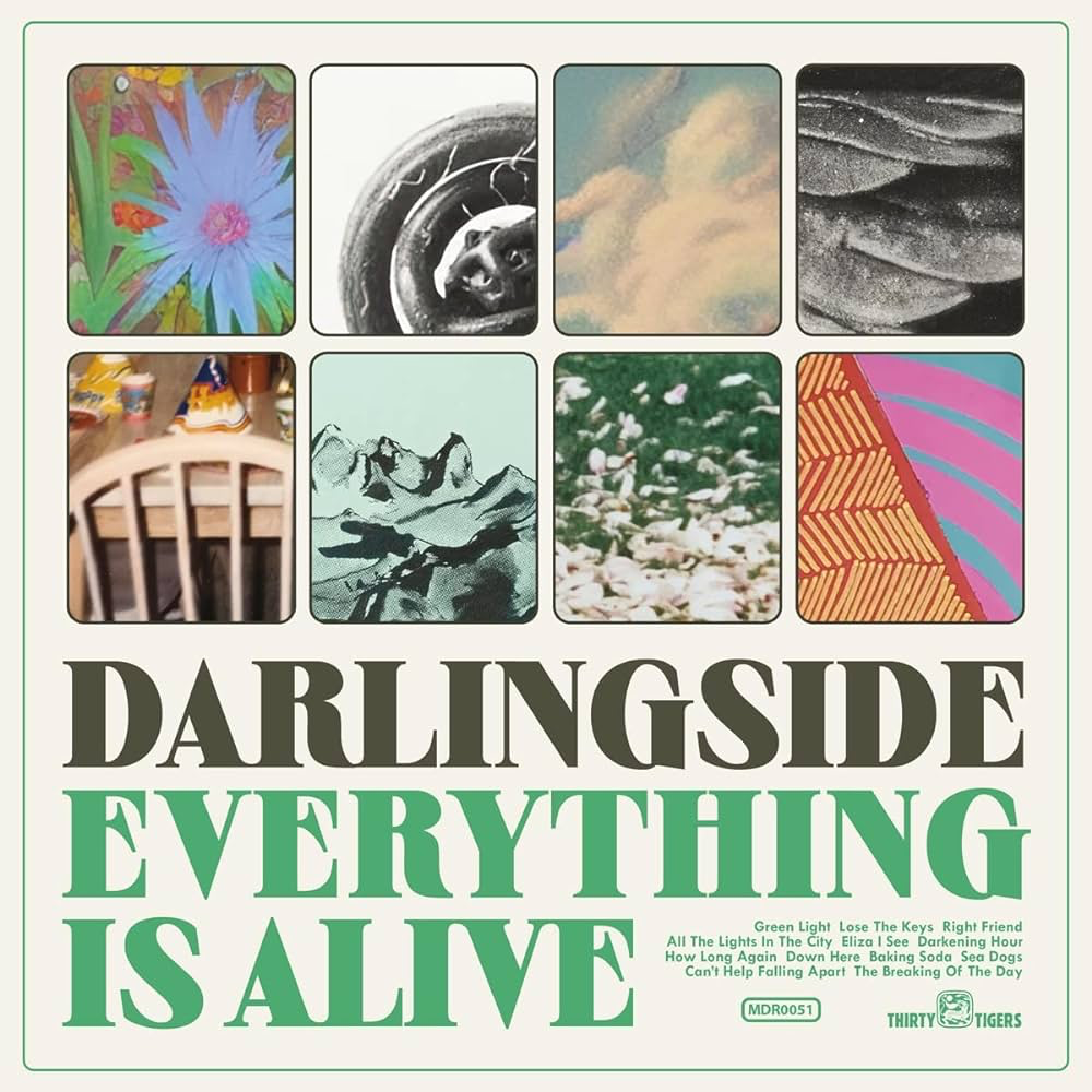Album Review: Everything is Alive by Darlingside