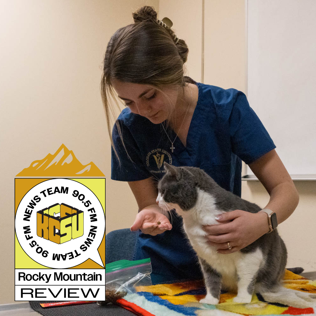 Photo provided by the Collegian: Aria Paul